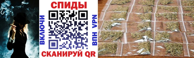 Купить где Полярные Зори Бутират буратино