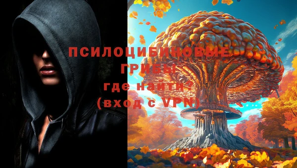 герыч Балахна