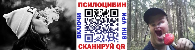 Купить  Полярные Зори  Псилоцибиновые грибы Magic Shrooms 